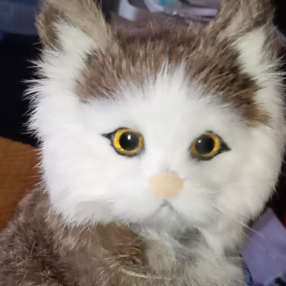 Vintage Realistic Real Fur Cat - Picture 3 of 17